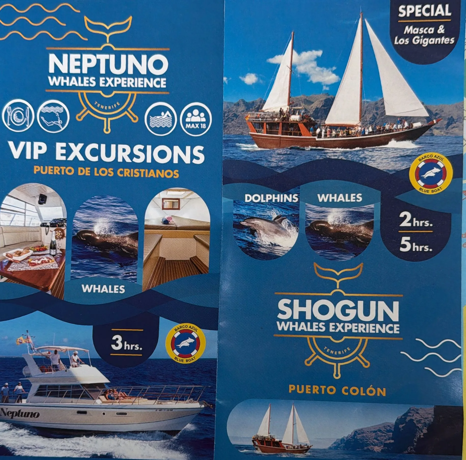 VIP Excursions · Dolphins & Whale Watching — 3h · Easy · Tenerife