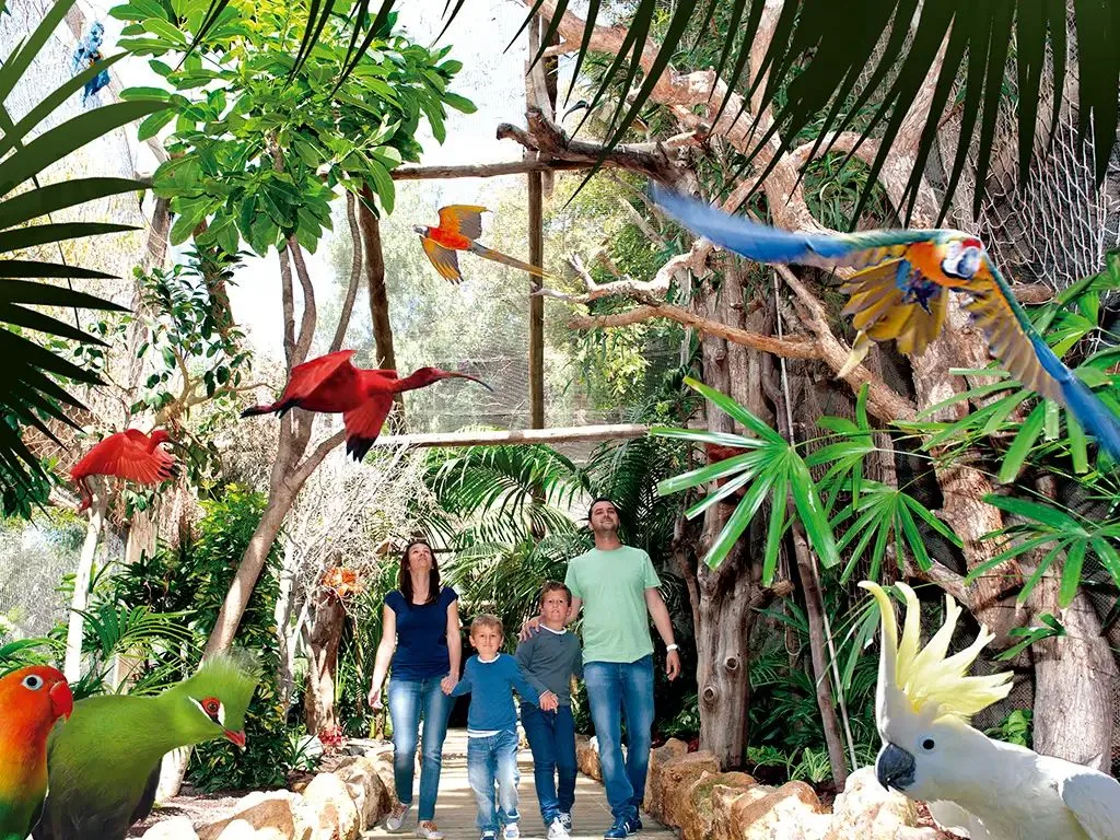 Animales exóticos en el Jungle Park de Tenerife